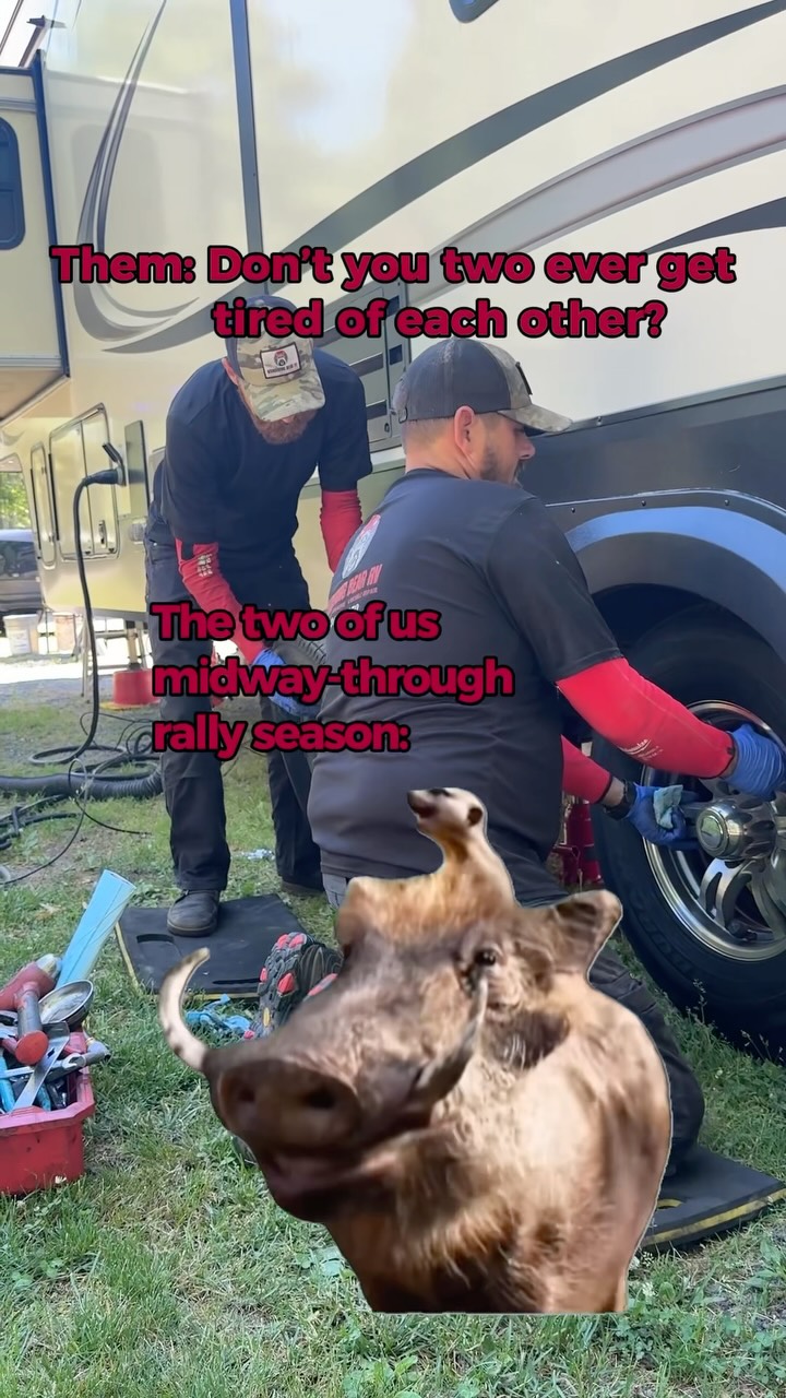 Wandering Bear RV