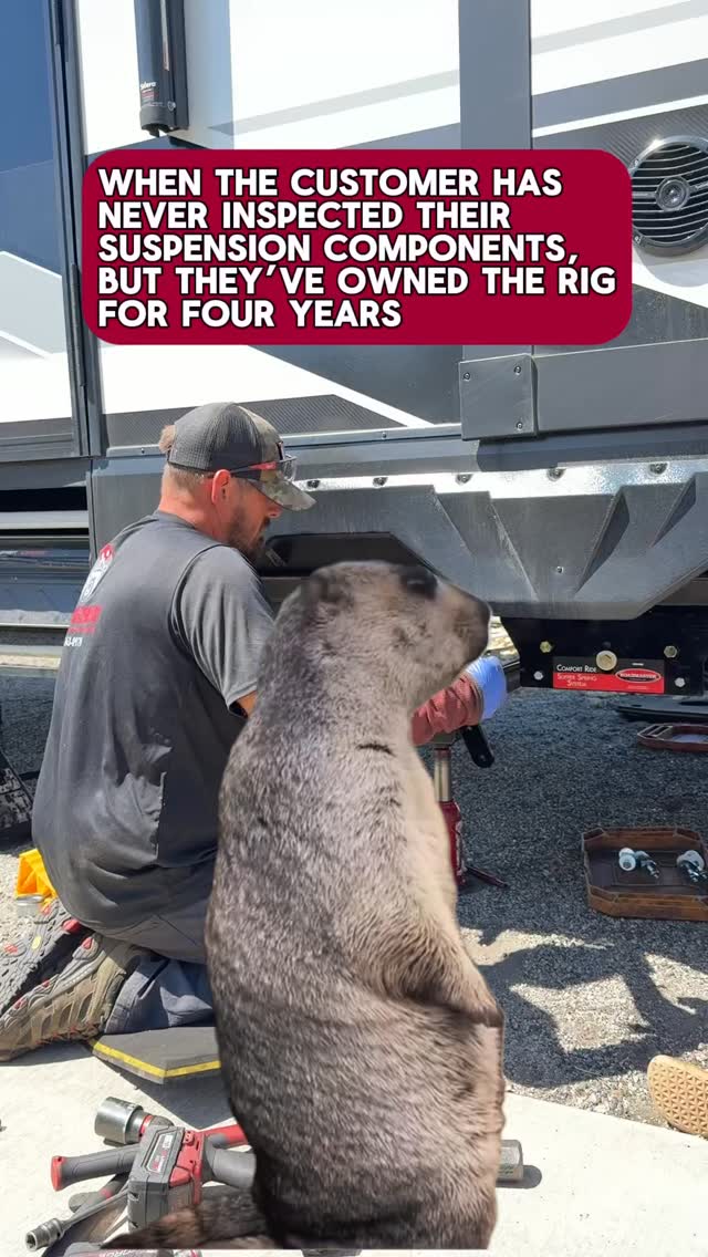 Wandering Bear RV